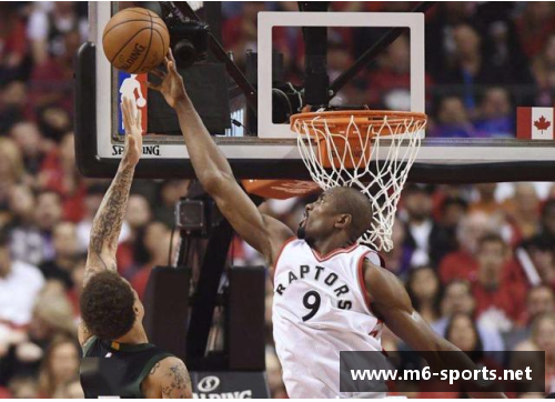 猛龙球员号码解析：探索多伦多球员们的背后故事