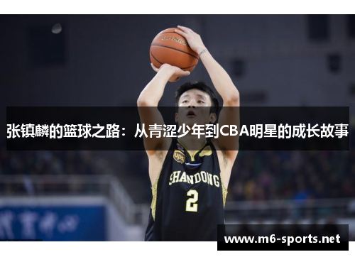 张镇麟的篮球之路：从青涩少年到CBA明星的成长故事